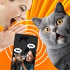 Cat Meow Sounds Training