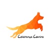 Cohérence canine