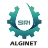 HP3 SRI Técnicos Alginet