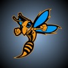 South Gibson County Hornets