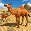 Camel Family Simulator Game