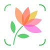 PlantX: Plant Identifier