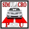 Simulacro Examen Peru 2024