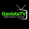 Gaviota TV