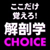 解剖学CHOICE