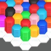 Hexa - Color Block Puzzle