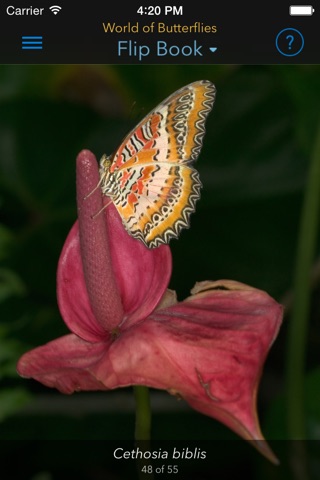 Rick Sammon’s World of Butterflies screenshot 2