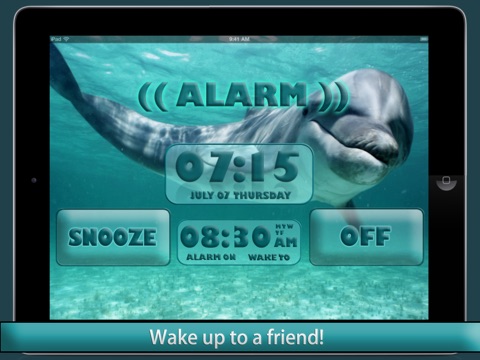 Dolphin Alarm Clock screenshot 2