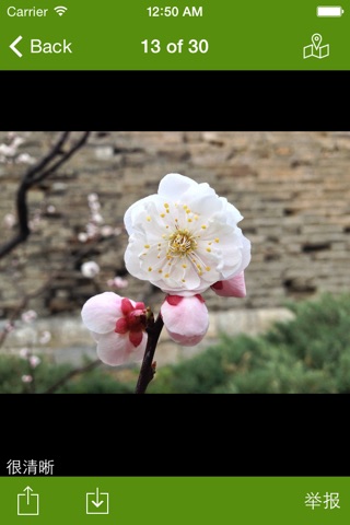 Tuyun,walk in the clouds screenshot 3