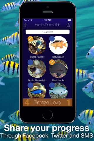 Fishlist: Caribbean screenshot 4