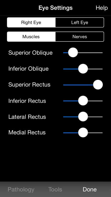 iRis Interactive screenshot-4
