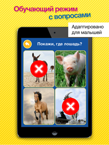 Скриншот из Smart Baby Touch HD - Amazing sounds in toddler flashcards of animals, vehicles, musical instruments and much more