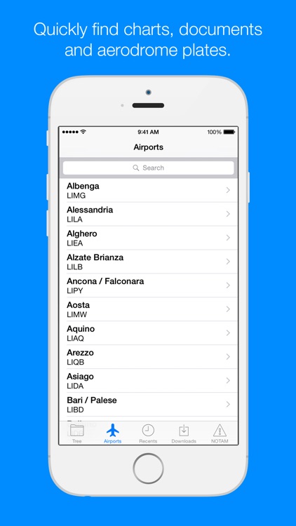 AIP Italia - Italian AIP manual