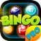 Bingo Cash Rush PRO - Play Online Casino and Gambling Card Game for FREE !