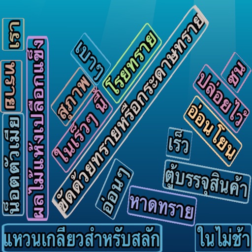 VocabMemo iOS App