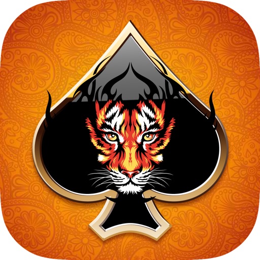 Tiger Poker Temple - Video Poker
