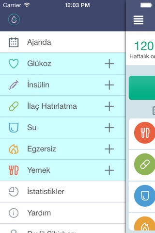 Diyabet Şeker Takip screenshot 2