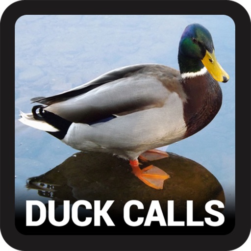 Duck Hunting Sounds iOS App