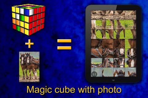 Logic Puzzles+ - náhled