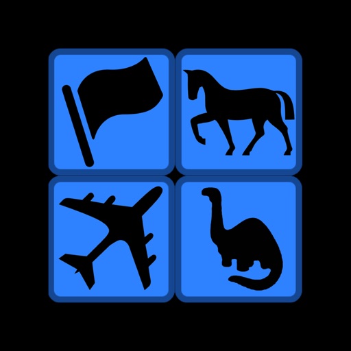 Matching Game - ASL, Horses, Airplanes & More icon