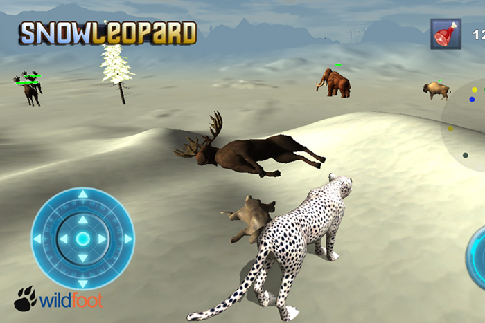 Snow Leopard Chase
