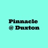 Pinnacle Duxton