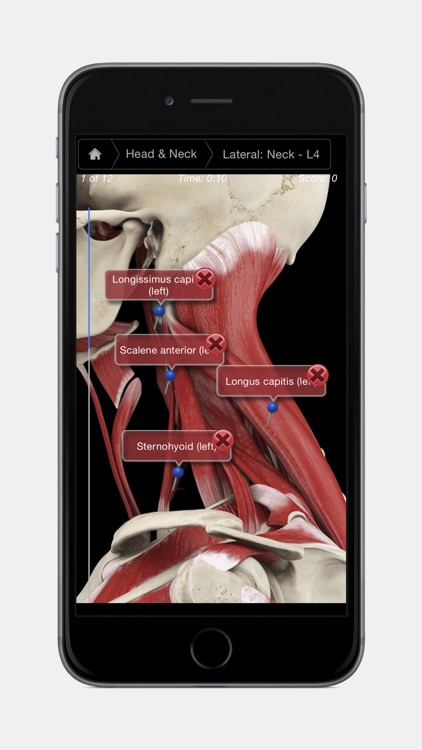 Muscle System Pro III - iPhone Edition