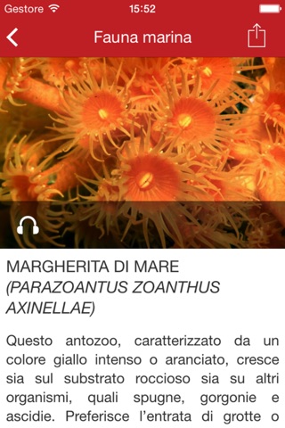 Expo Mare Roma screenshot 4