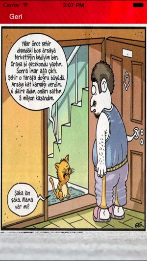 Kedi Sesleri