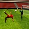 Ultimate Soccer Challenge in awesome 3D for 2015