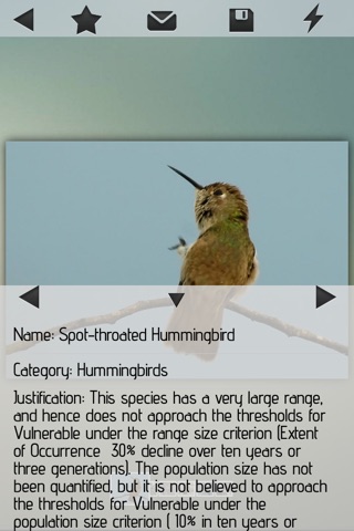 Hummingbirds Collection screenshot 2