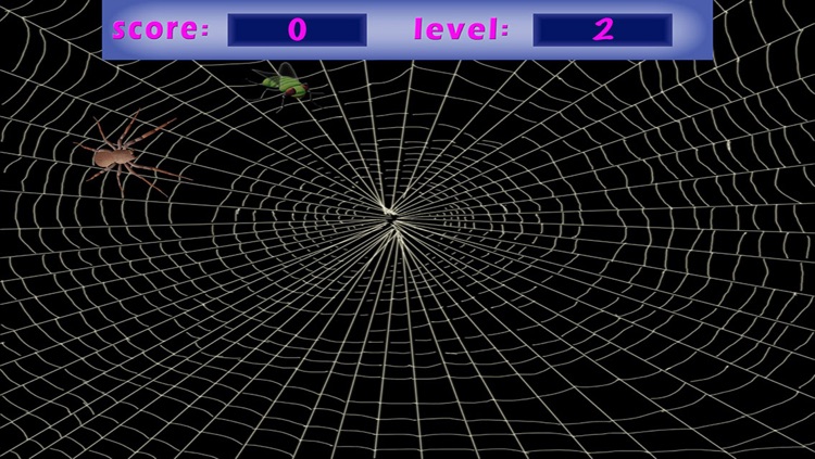 3D Spider Catch - Challange Your Speed Skills