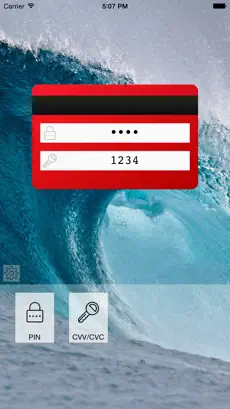 Captura de Pantalla 3 CardFolio - Tarjeta de crédito y gestor de contraseñas iphone