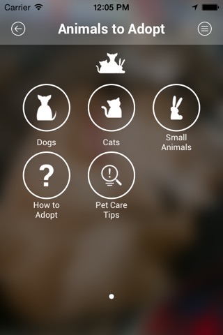 Bath Cats and Dogs Home screenshot 2