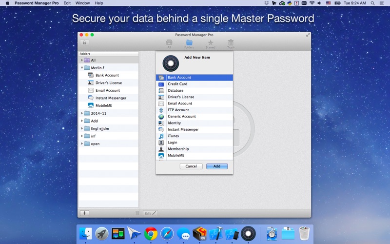 Password Manager Pro Screenshot