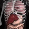 Expand your knowledge of the organs with this robust application that combines 3D models, video, audio lectures, quizzes and text to create a rich learning experience