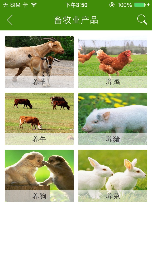 【图】中国畜牧业(截图2)