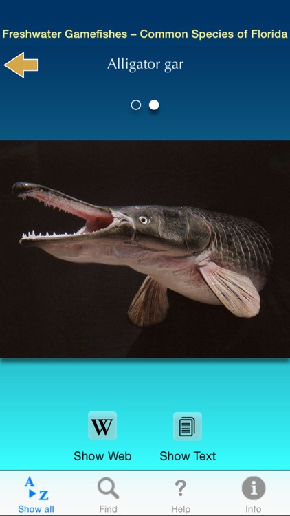 Freshwater Game Fishes - Common Species of Florida