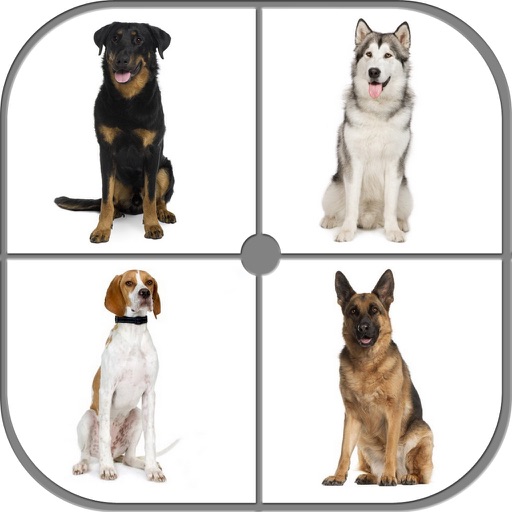 Guess Dog - Dog Breeds Quiz? icon