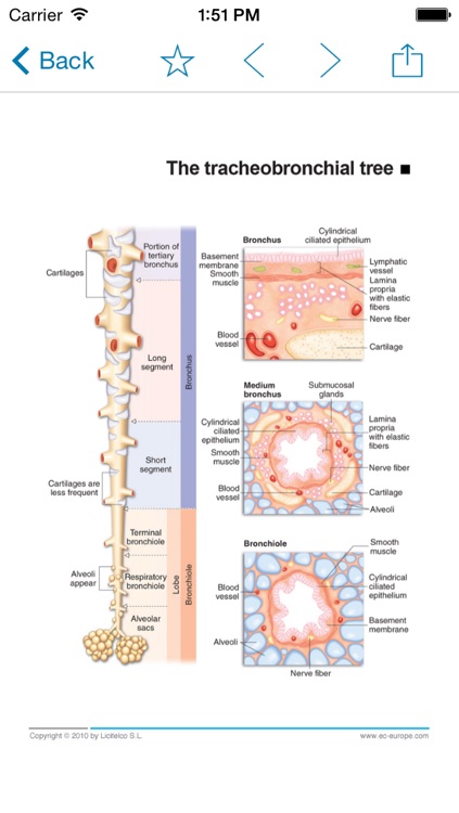 Miniatlas Lung Cancer screenshot-3