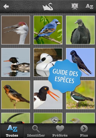 Birds PRO - North America (USA, Canada, Mexico) screenshot 2