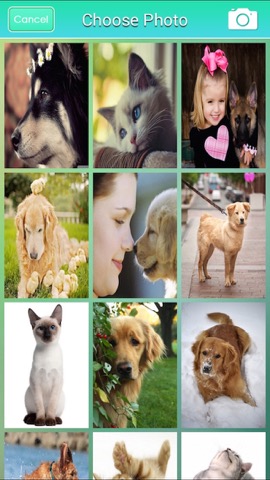 Pet Wallpapers HD Free: Set Awesome Homescreen for iPhoneのおすすめ画像2