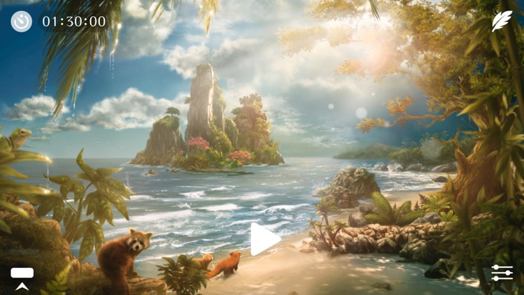 Sunny ~ Calm wave & ocean sounds to Sleep Relax Meditate on the beach with rain and sea birds screenshot-0