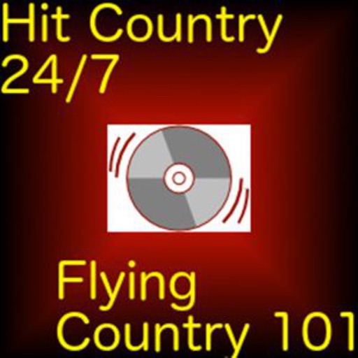 Flying Country 101 icon