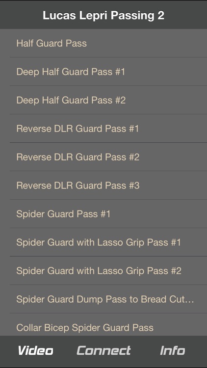 Lucas Lepri - Championship Guard Passing Part 2