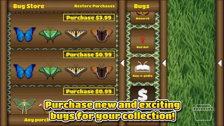 Fun Bugs screenshot-3