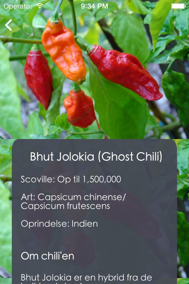 Chili Guide, Recipes & Garden screenshot 3