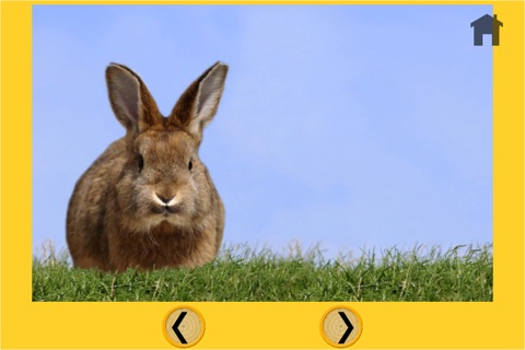 rabbits carnival shooting for kids - no ads screenshot 4