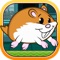Hammy the Super Pet Hamster Runner