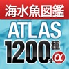 アクアリウムの海水魚図鑑 ATLAS1200種+α